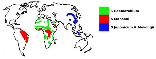 Figure 1 - <div style=